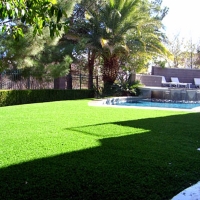 Artificial Grass Bloomfield, New Mexico Design Ideas, Backyard Designs