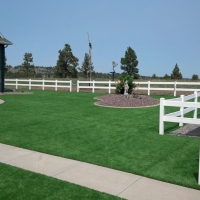 Artificial Grass Carpet Cobre, New Mexico Garden Ideas, Front Yard Landscaping Ideas