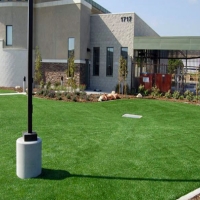 Artificial Grass Carpet Moriarty, New Mexico Landscape Photos, Commercial Landscape