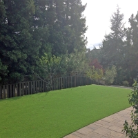 Artificial Grass Chamizal, New Mexico City Landscape, Backyard Design