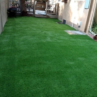 Artificial Lawn Arrey, New Mexico Landscaping Business, Backyard Garden Ideas