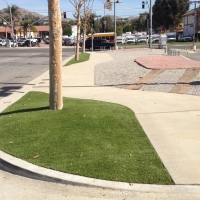 Artificial Lawn Canjilon, New Mexico Backyard Deck Ideas, Commercial Landscape