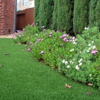 Artificial Turf Bosque Farms, New Mexico Design Ideas, Front Yard