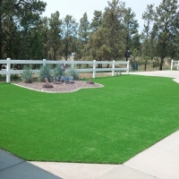 Artificial Turf Cost Canon, New Mexico Landscaping Business, Landscaping Ideas For Front Yard