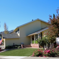 Artificial Turf Hillsboro, New Mexico Home And Garden, Front Yard Landscape Ideas