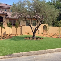 Artificial Turf Installation Capulin, New Mexico Landscape Photos, Front Yard