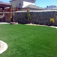 Artificial Turf Installation Gila, New Mexico Landscape Photos, Backyard Landscape Ideas