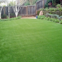 Artificial Turf La Plata, New Mexico Landscaping Business, Backyard Garden Ideas