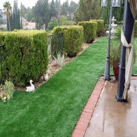 Artificial Turf Pena Blanca, New Mexico Landscaping Business, Backyard Landscaping Ideas