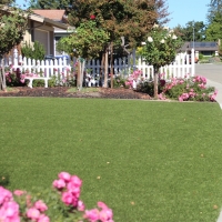 Artificial Turf San Ildefonso Pueblo, New Mexico Gardeners, Front Yard Ideas