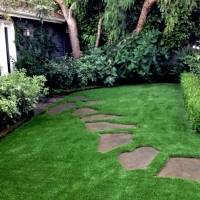 Artificial Turf Williamsburg, New Mexico Roof Top, Small Backyard Ideas