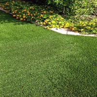 Best Artificial Grass Arroyo Seco, New Mexico Design Ideas, Front Yard Landscaping