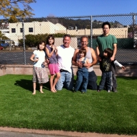 Best Artificial Grass Costilla, New Mexico Landscape Rock, Commercial Landscape