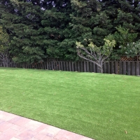 Best Artificial Grass East Pecos, New Mexico Landscaping, Backyard Landscape Ideas