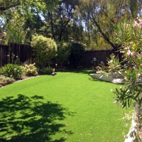 Fake Grass Carpet Chamizal, New Mexico Roof Top, Backyard Ideas