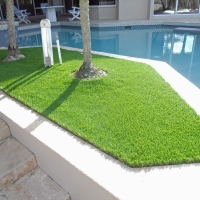 Fake Grass Carpet Madrone, New Mexico City Landscape, Backyards