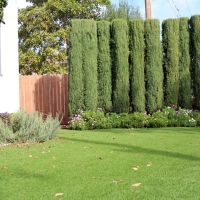 Fake Grass Fairacres, New Mexico Garden Ideas, Front Yard