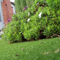 Fake Grass Mimbres, New Mexico Landscape Design, Front Yard Design