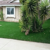 Fake Grass Seboyeta, New Mexico Gardeners, Front Yard