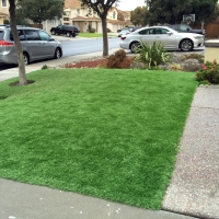 Fake Lawn Pinon, New Mexico City Landscape, Front Yard Landscaping