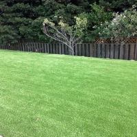 Fake Lawn Sombrillo, New Mexico Landscaping, Backyard Designs