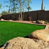 Fake Turf Polvadera, New Mexico Landscape Photos, Backyard Landscape Ideas