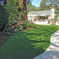 Fake Turf Rio Lucio, New Mexico Home And Garden, Commercial Landscape