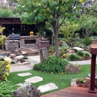 Fake Turf Watrous, New Mexico Landscape Ideas, Backyards