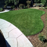 Faux Grass Cedar Hill, New Mexico Garden Ideas, Front Yard Landscaping Ideas