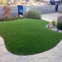 Faux Grass Las Palomas, New Mexico Landscape Ideas