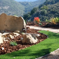 Faux Grass Tome, New Mexico Roof Top, Front Yard