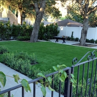 Grass Carpet Capulin, New Mexico Lawn And Landscape, Landscaping Ideas For Front Yard