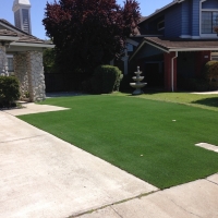 Grass Carpet Corona, New Mexico Rooftop, Front Yard Ideas