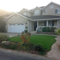 Grass Carpet Crystal, New Mexico Roof Top, Front Yard Design