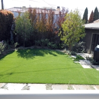 Grass Carpet Fairacres, New Mexico Roof Top, Backyard