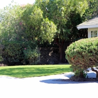 Grass Carpet Nenahnezad, New Mexico City Landscape, Front Yard Landscaping