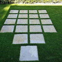 Grass Carpet Paraje, New Mexico Garden Ideas, Backyard Makeover