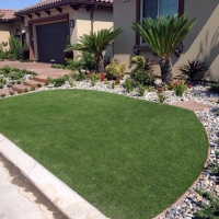 Grass Carpet Regina, New Mexico Lawn And Garden, Front Yard Design