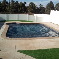 Grass Carpet Roy, New Mexico Gardeners, Backyard Landscape Ideas