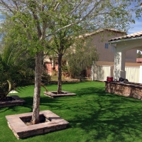 Grass Turf Las Palomas, New Mexico Roof Top, Landscaping Ideas For Front Yard