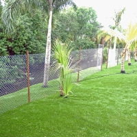 Grass Turf Newcomb, New Mexico Backyard Playground, Backyard Landscaping Ideas