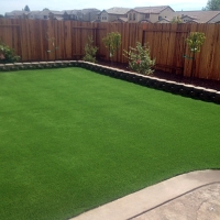 Grass Turf Quemado, New Mexico Backyard Playground, Backyard