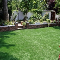 Grass Turf Tularosa, New Mexico Lawns, Backyard Landscaping