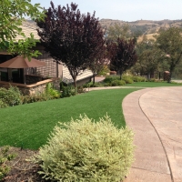 Green Lawn Picuris Pueblo, New Mexico Lawn And Garden, Front Yard Ideas