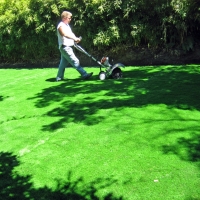 Lawn Services Canones, New Mexico Home And Garden, Backyard Makeover