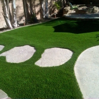 Lawn Services Radium Springs, New Mexico Design Ideas, Backyard