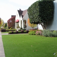 Outdoor Carpet Dona Ana, New Mexico Rooftop, Small Front Yard Landscaping