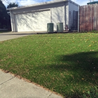 Plastic Grass Ponderosa, New Mexico Design Ideas, Front Yard Design