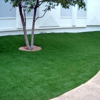 Plastic Grass Vaughn, New Mexico Lawns, Commercial Landscape