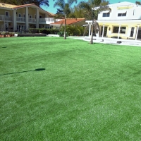 Synthetic Grass Bent, New Mexico Landscape Photos, Commercial Landscape